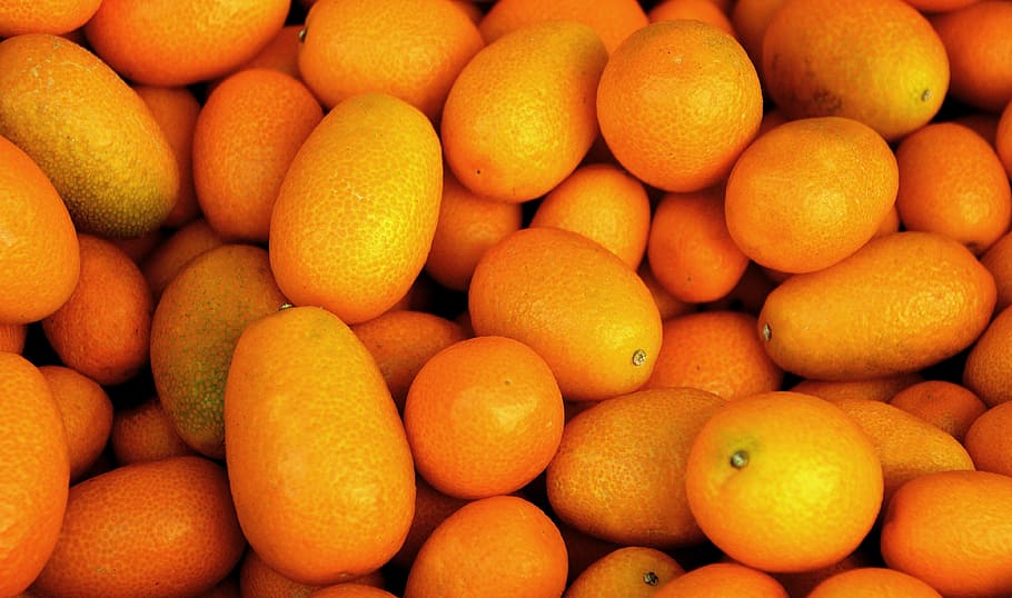 tropical fruit, fruit, orange, mini orange, kumquat, left untreated, market, purchasing, healthy, bio