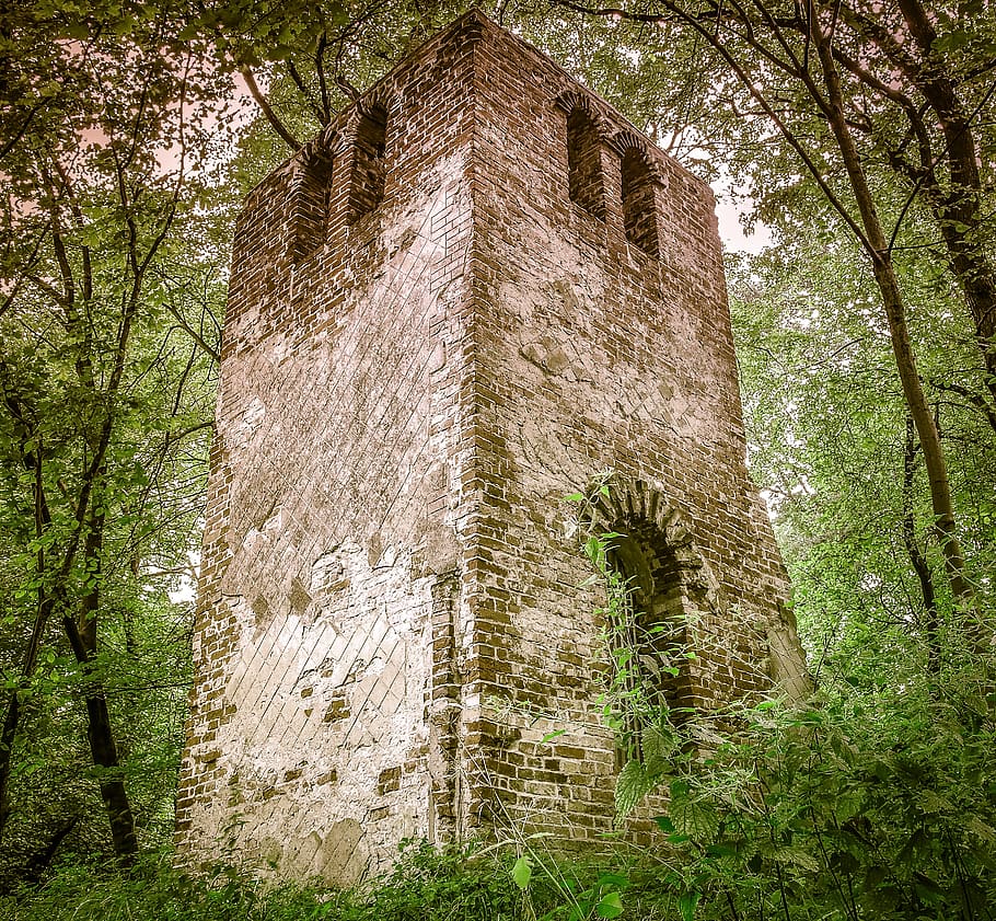 crash, forest, castle, tower, brick, the window, quadrilateral, overgrown, scrubs, tree