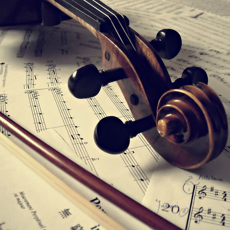 violín, partituras, instrumento musical, rizo, clavijas de afinación, cuerdas, palo, música, música clásica, partitura
