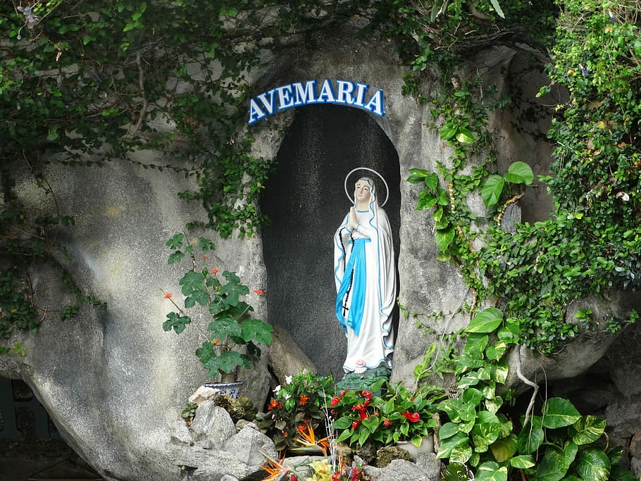聖母マリア カトリック アヴェマリア 像 日 人なし アウトドア 自然 木 人間の表現 Pxfuel