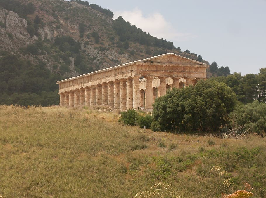 temple, sicily, greek, plant, built structure, architecture, tree, nature, the past, history