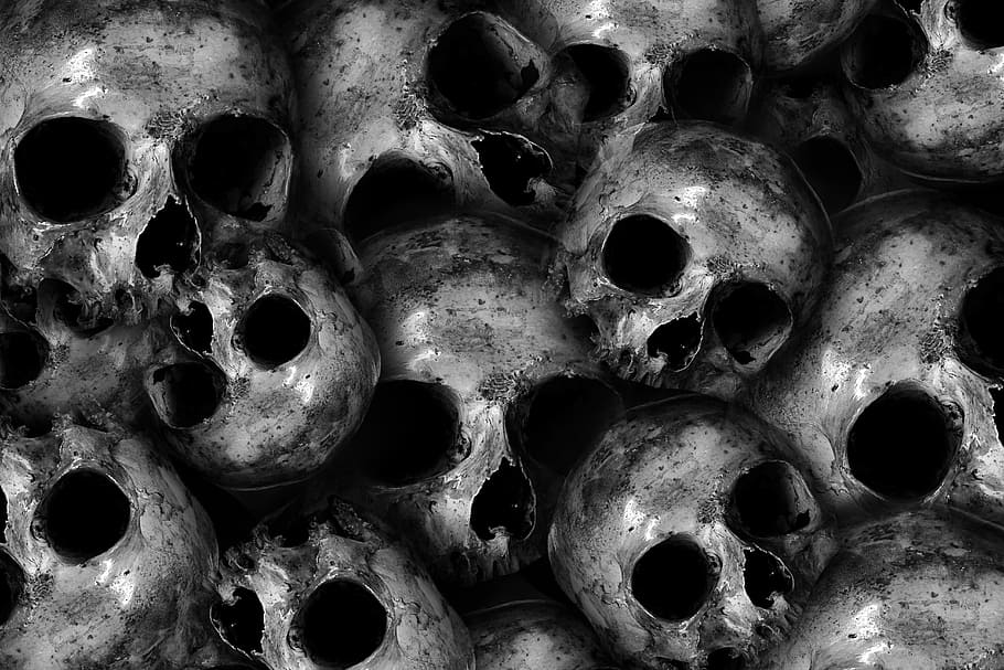 skull illustration, skull, skull and crossbones, skeleton, bone, death, dead, horror, crypt, black