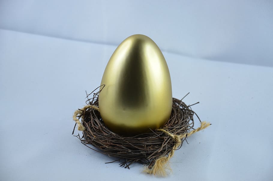 gold-colored egg decor, egg, gold, nest, easter, easter egg, eggs nest, animal, animal nest, close-up
