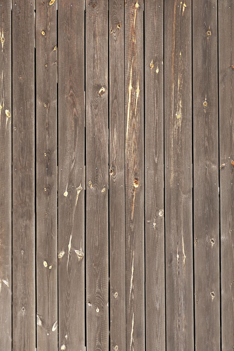 wooden boards, boards, wooden gate, old, weathered, branches, battens, wood, board, background