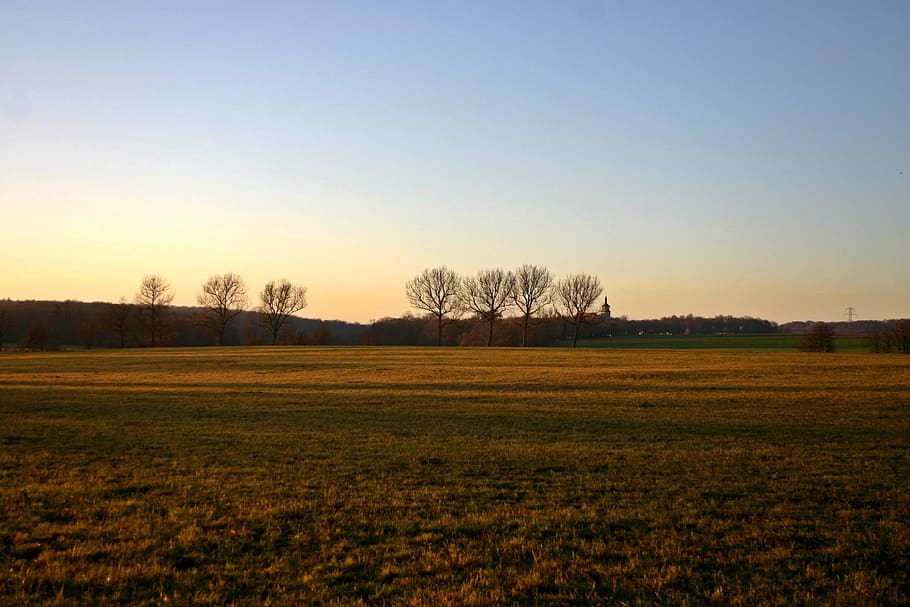 landscape, nature, meadow, sunset, lighting, wide, trees, grass, baden württemberg, southern germany
