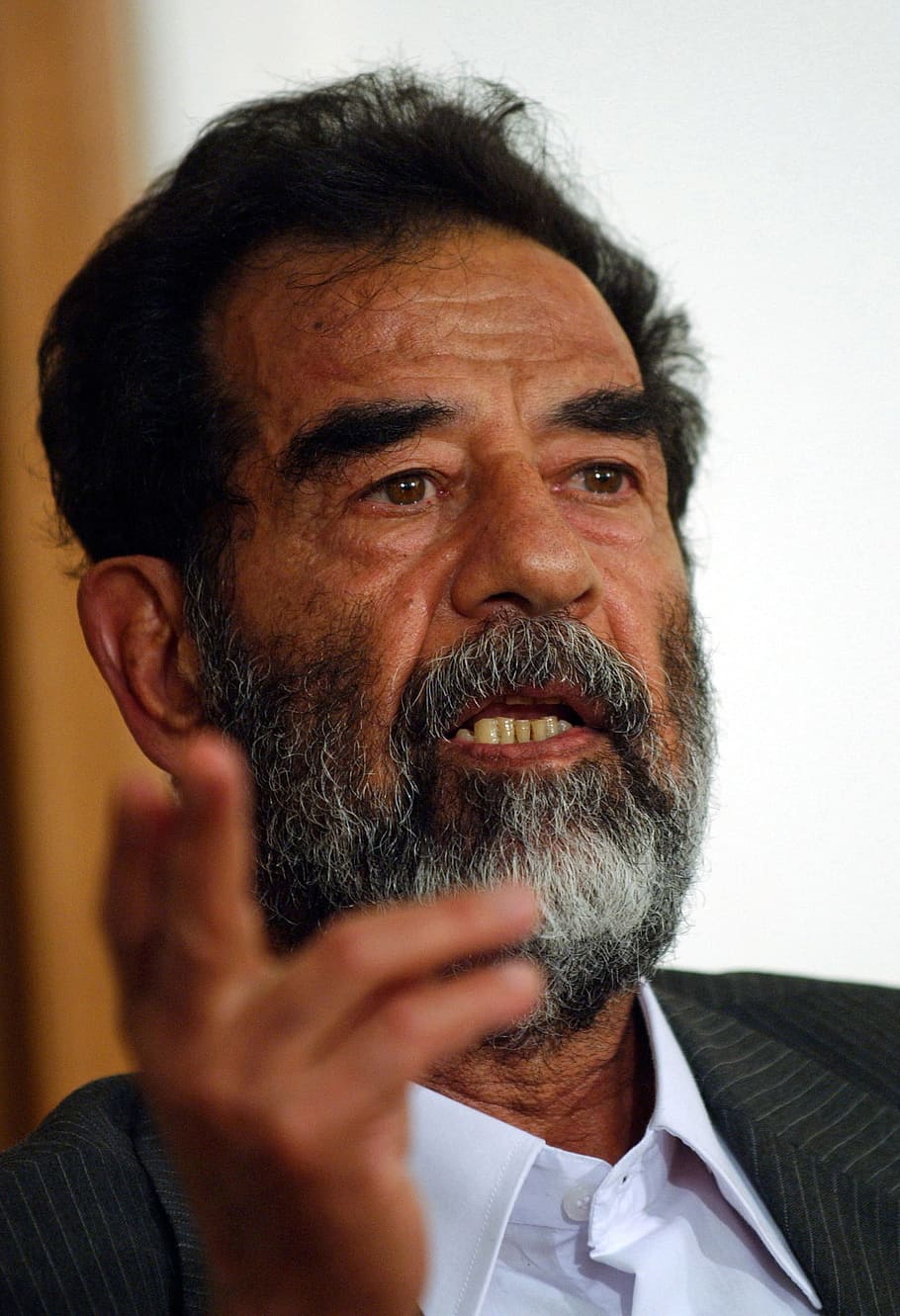 portrait photography, bearded, man, Iraq, Dictator, President, prime minister, saddam hussein, 2004, portrait