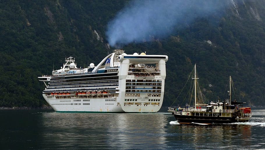 blanco, barco de crucero, negro, barco, océano, vacaciones, personas, Nueva Zelanda, ocio, paisaje marino