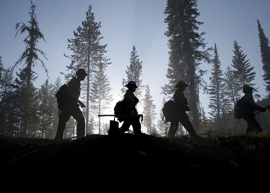 people, walking, Forest, Trees, Firefighters, Silhouette, silhouettes, service, smoke, devastation