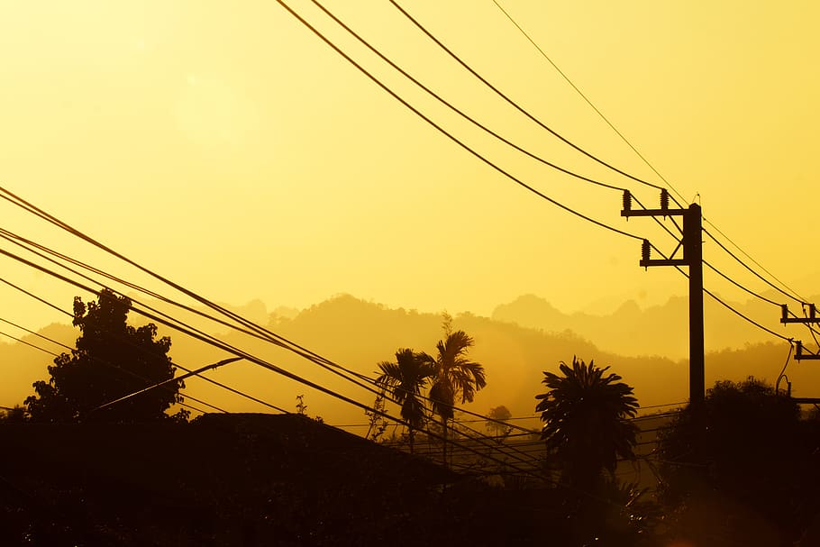 trees, shadows, sunset, sunrise, dusk, lonely, sky, cable, power line, electricity