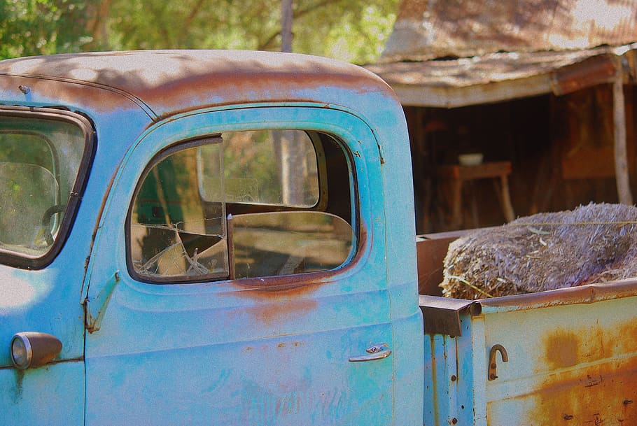 blue, single, cab pickup truck, hays, truck bed, old truck, dodge, rust, rusted, truck