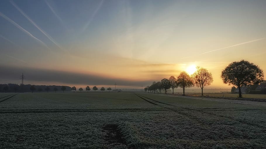 sunrise, morning, landscape, sky, nature, fog, fresh, cold, hoarfrost, field