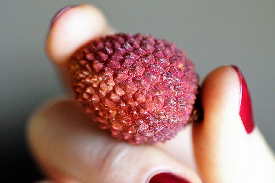 lychee, litchi, asian, exotic, tropical, sour, fetus, peel, berry, fruit