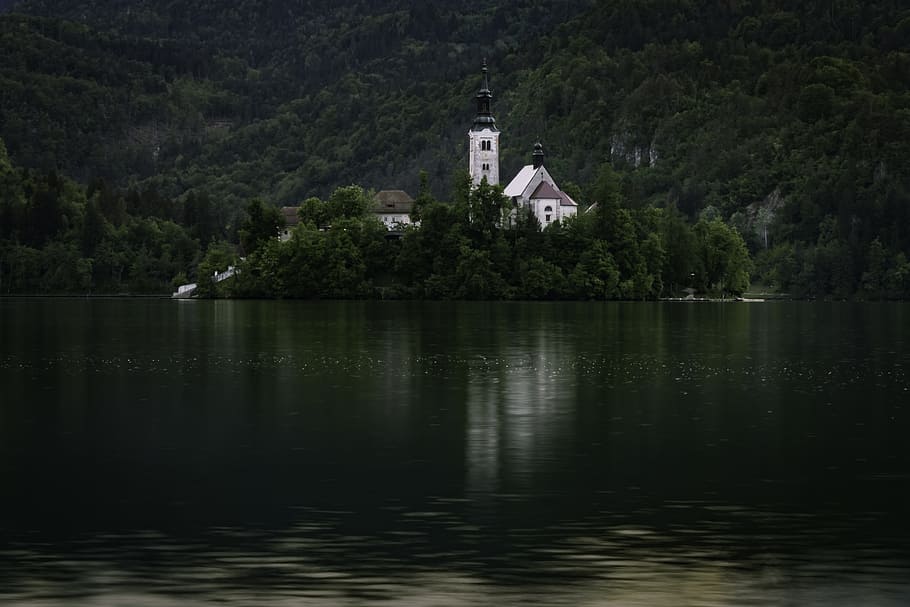 ブレッド, スロベニア, 島, 教会, 池, 木, 水, 造られた構造, 建築, 建物外観