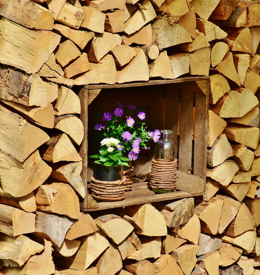 purple-and-white chrysanthemum flowers, placed, crate, firewood cord, wood, holzstapel, wall, tree, woods, facade