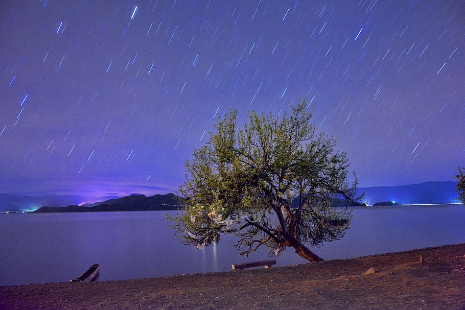 Long Exposure, Night, Starry Sky, star, tree, lake, quiet, nature, star - space, scenics
