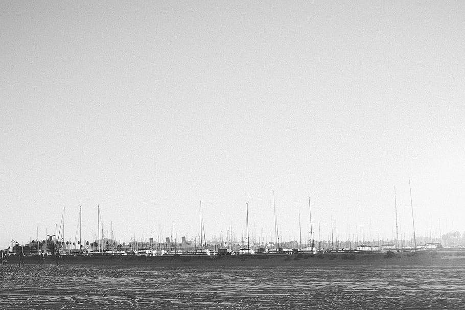 untitled, grayscale, boats, daytime, beach, harbor, harbour, sailboats, black and white, copy space