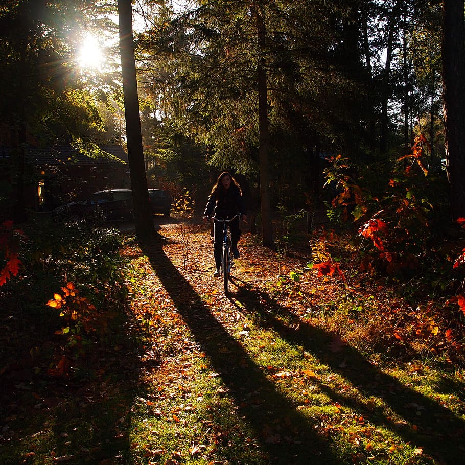 girl, morning, forest, cycling, autumn, sunlight, merry, nature, fun, tree