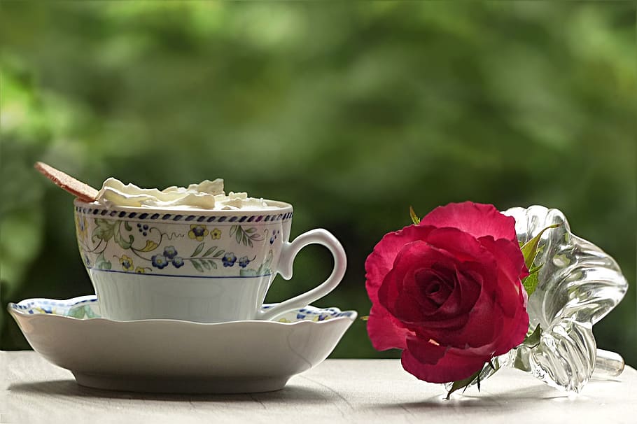 red, rose, white, blue, floral, ceramic, mug, drink, coffee, cream