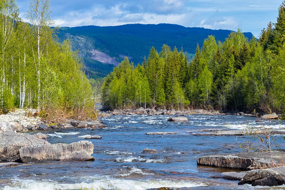 norway, forest, Mountains, amazing view, Colorful, Scandinavia, landscape, nature, river, rapids