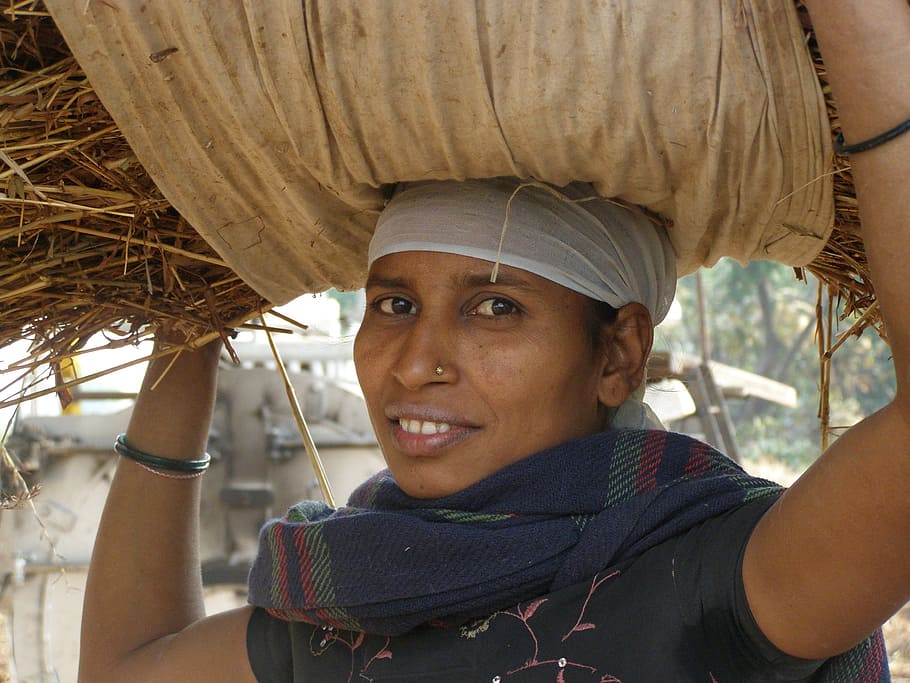 person, wearing, black, top, carrying on head, indian, farm, worker, woman, hard work