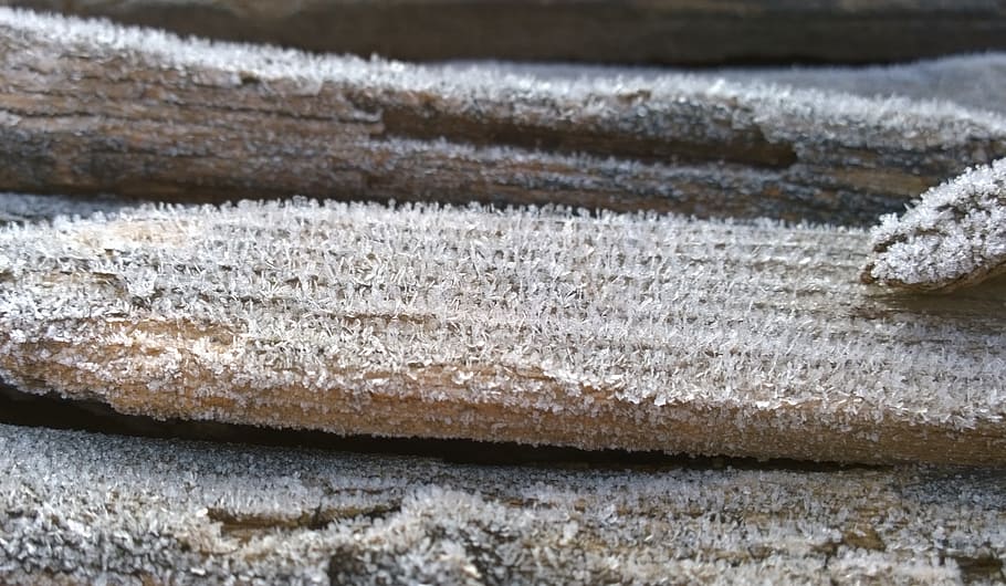 rime, stake, wintery, close-up, winter, focus on foreground, wood - material, snow, nature, day