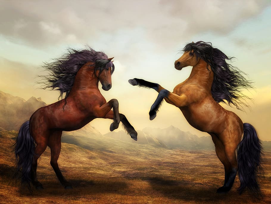 dos caballos marrones, caballos, caballos salvajes, arte digital, naturaleza, paisaje, animales, salvajes, componer, caballo