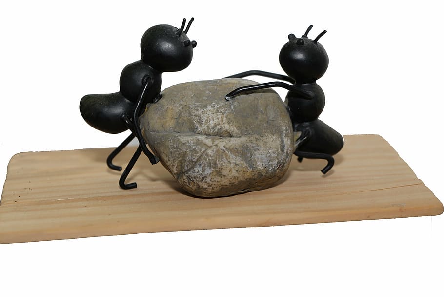 two, black, ants, lifting, gray, stone illustration, strong, stone, power, nature