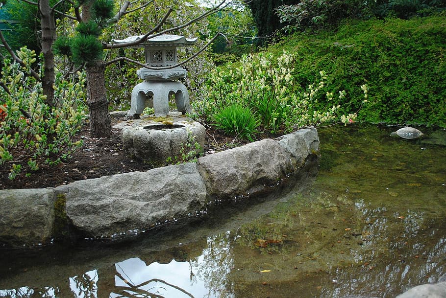 botanical garden, water, pond, calm, japanese, silence, soothing, nature, exotic, zen