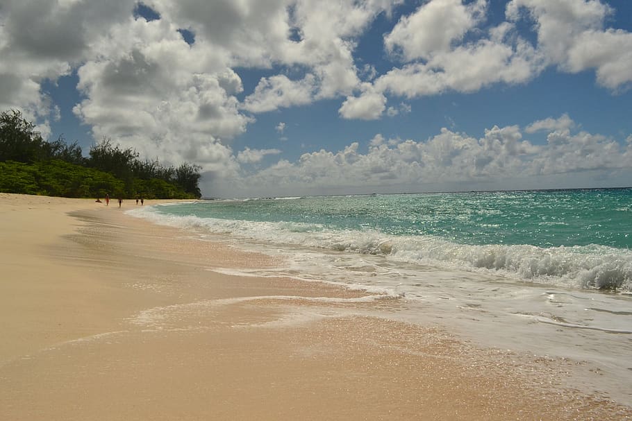 barbados, sea, beach, sand, ocean, wave, idyllic, coastline, seascape, tranquil