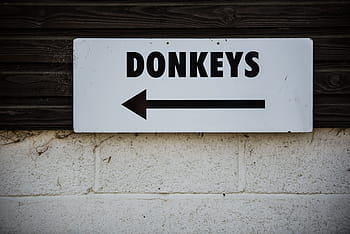 wall-sign-donkeys-royalty-free-thumbnail.jpg