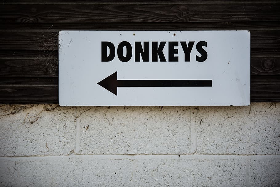 wall, sign, donkeys, text, communication, western script, wall - building feature, day, information, architecture