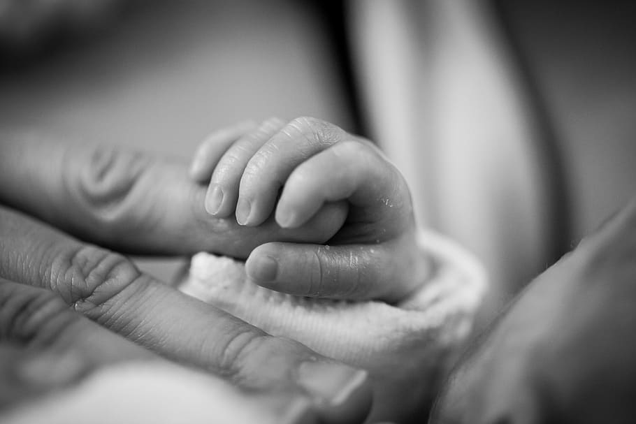 grayscaled photo, baby, holding, person, hand, child, birth, trust, macro, preemie