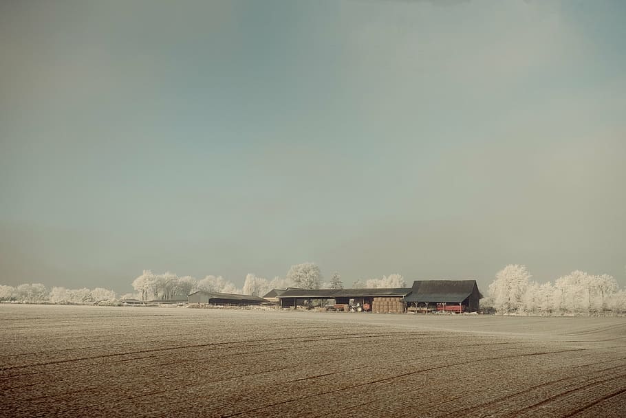brown, wooden, house, middle, field, building, landscape, sky, cloud, trees