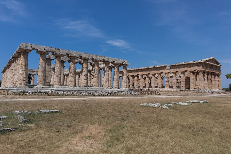 basilica and temple of neptune, paestum, temples, greece, history, ruins, heritage, archaeology, acropolis, monument