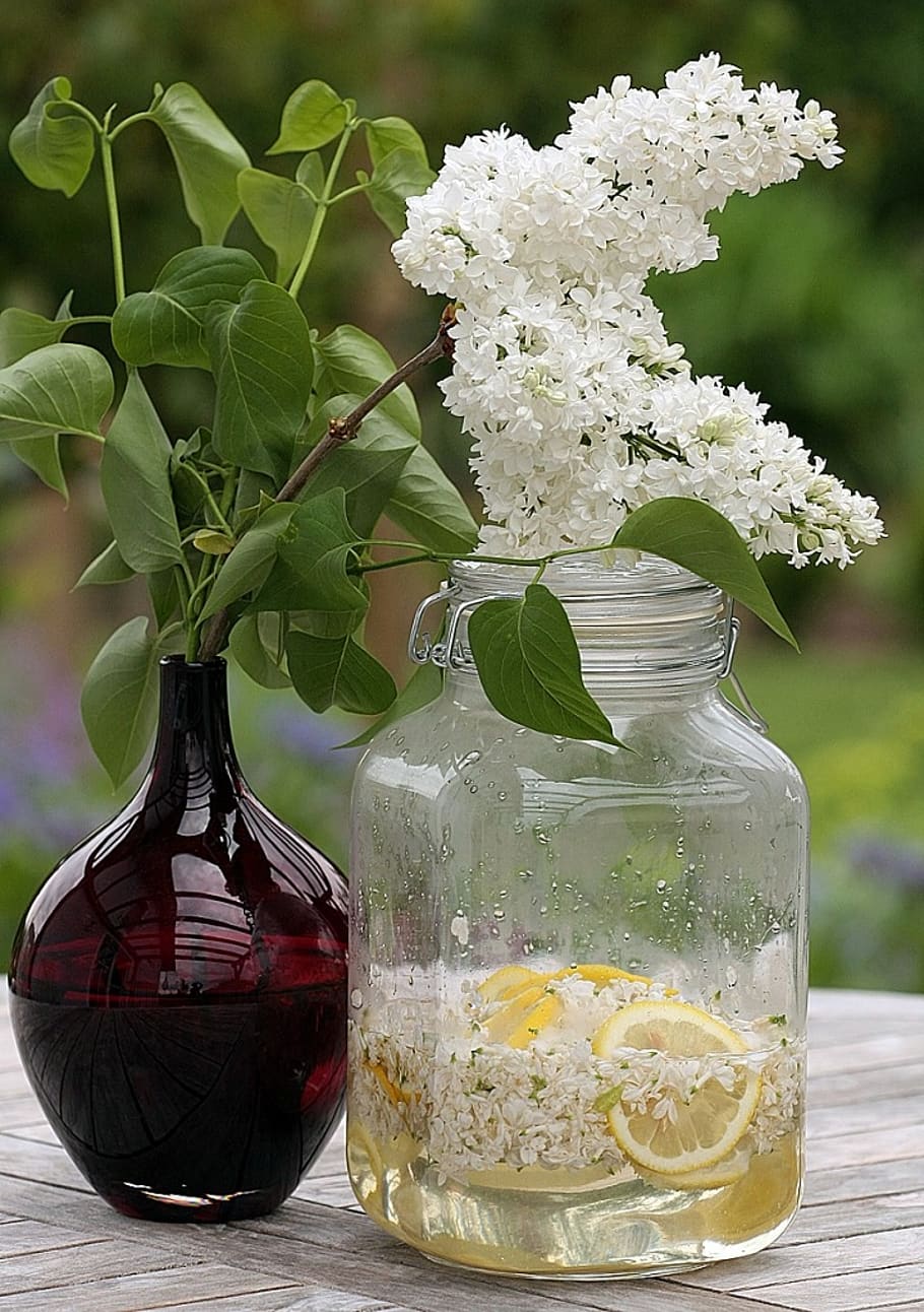syrup, lilac syrup, lilac blossom syrup, fliederblueten, lilac, flowers, food, edible, drink, flower