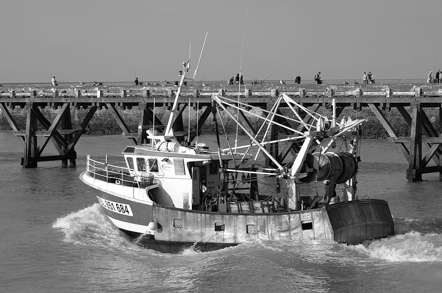Navio de pesca, Porto, França, Marselha, mediterrâneo, marinha, preto e branco, barco de pescador, cais, oceano
