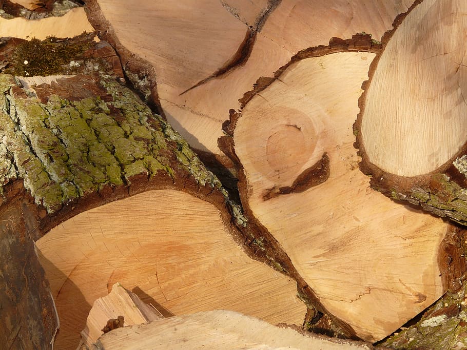 木材, 薪, のこぎり, 木工, holzstapel, 木, ウッドチョップ, 材木, 伐採, 成長する株