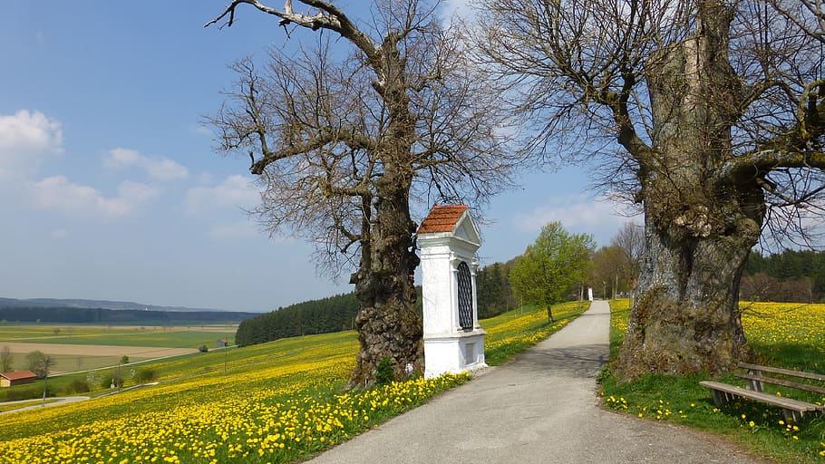 allgäu, spring, georgi mountain, way of the cross, plant, tree, sky, nature, architecture, day