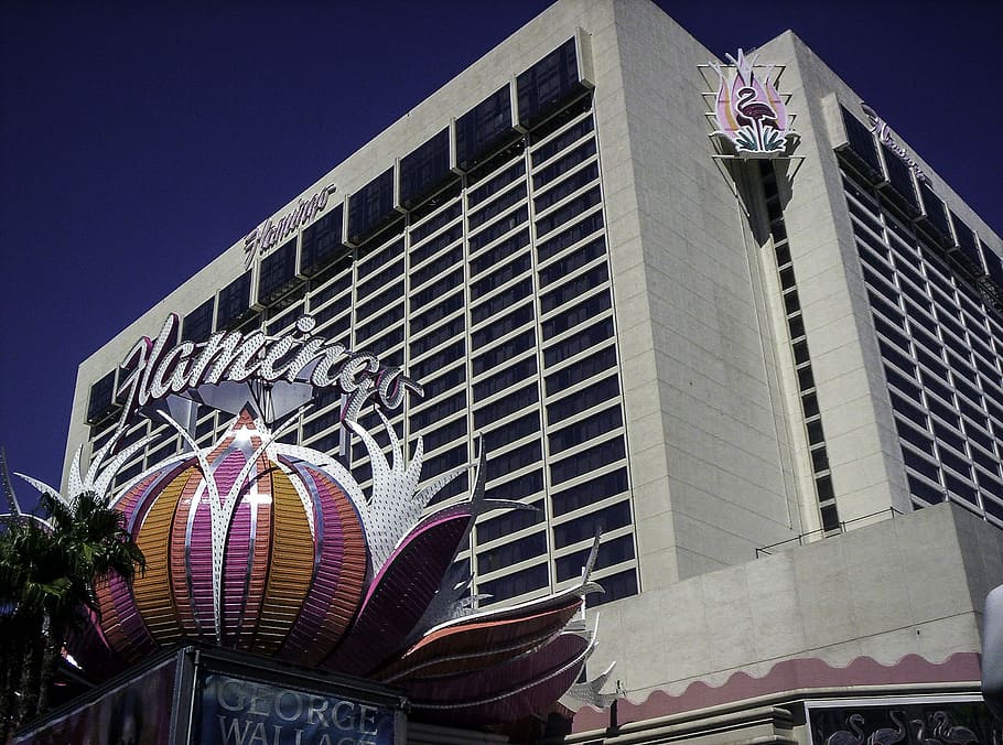 flamingo hotel, casino, las vegas, nevada, flamingo hotel and casino, Las Vegas, Nevada, city, flamingo, hotel, public domain