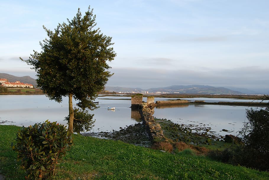 santoña, cantabria, spain, water, plant, sky, tranquility, tree, tranquil scene, beauty in nature