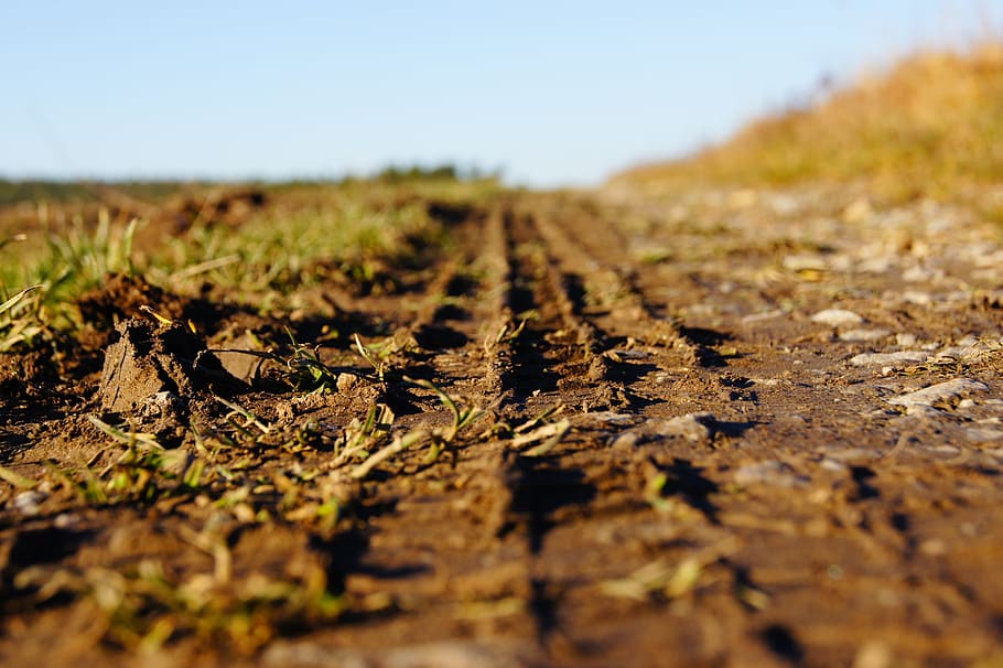 Tire, Tracks, Mature, Traces, Away, Field, tire tracks, landscape, arable, day