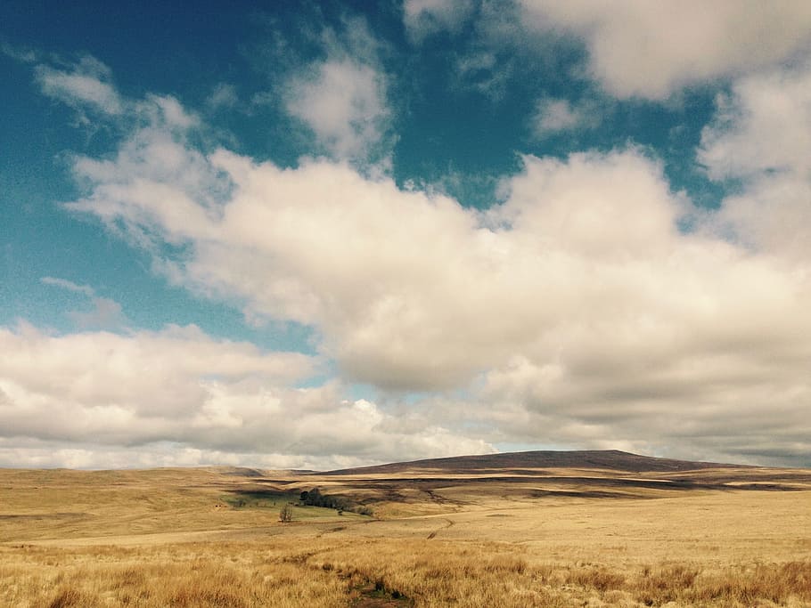 Wales, Brecon Beacons, Brecon, Beacons, brecon, beacons, nature, countryside, welsh, landscape, national