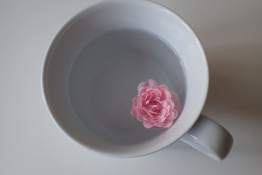 pink, flower, white, ceramic, mug, cup, food, easter egg, easter, hartgekocht