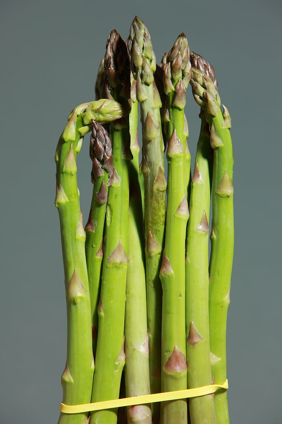 sekelompok asparagus, asparagus hijau, asparagus, hijau, sayuran, makan, sehat, tanaman, pakis asparagus, memasak