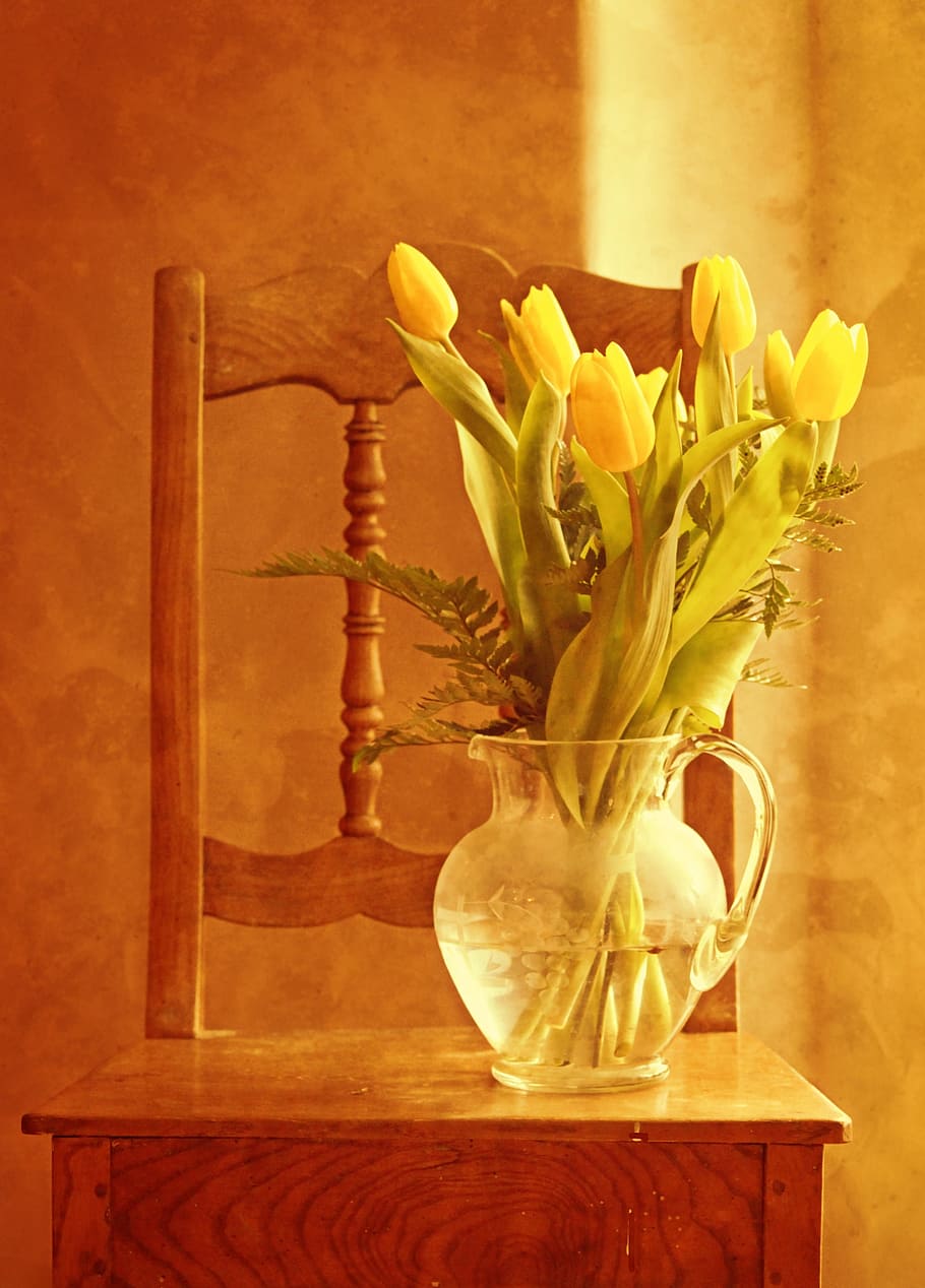 clear, glass pitcher, flowers, tulip bouquet, tulips, bouquet, vase, flower vase, decoration, still life