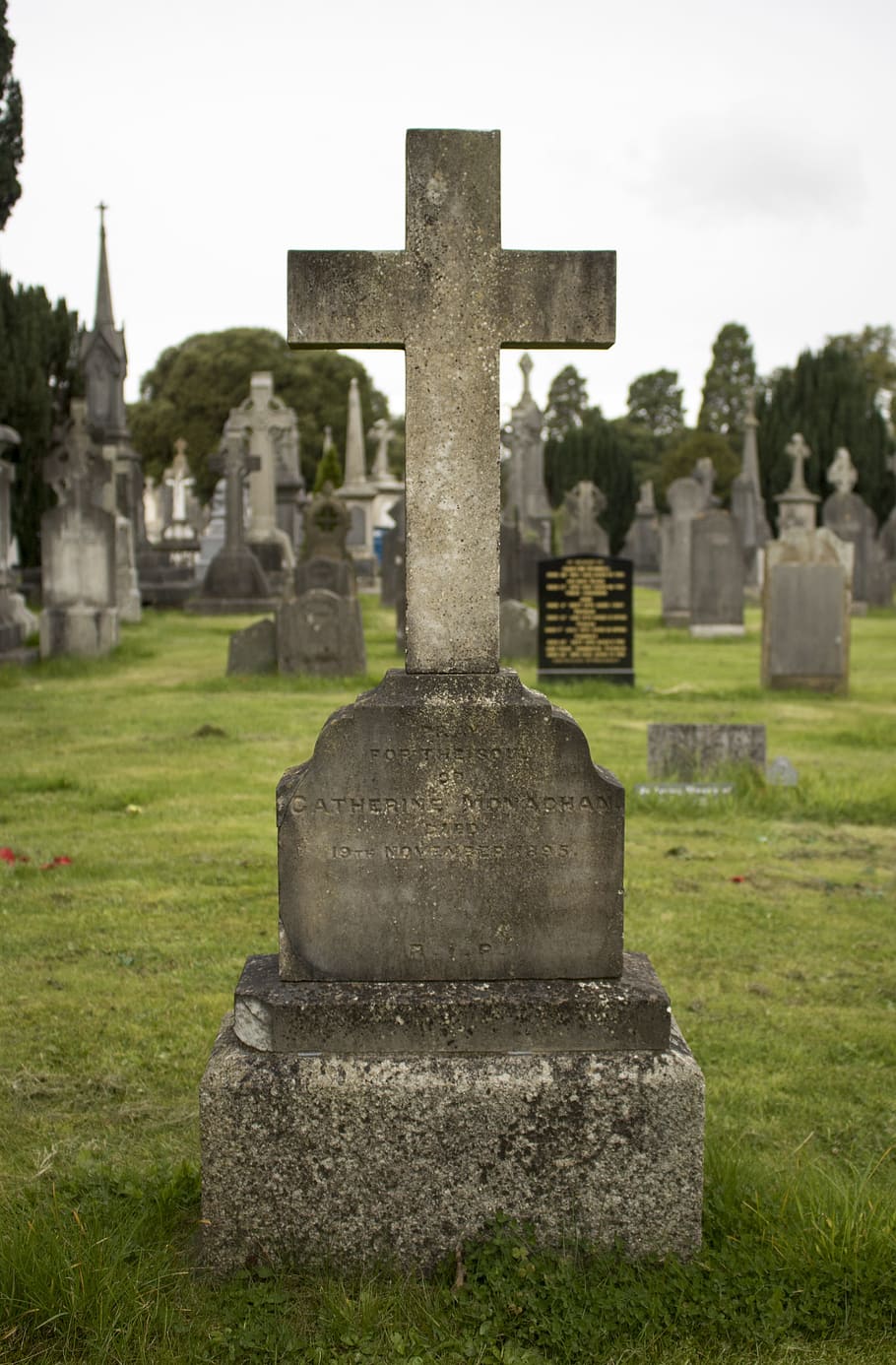 グラスネビン, ダブリン, アイルランド, 墓地, 墓石, ケルト, 葬儀, 休憩所, 墓, 古い墓地