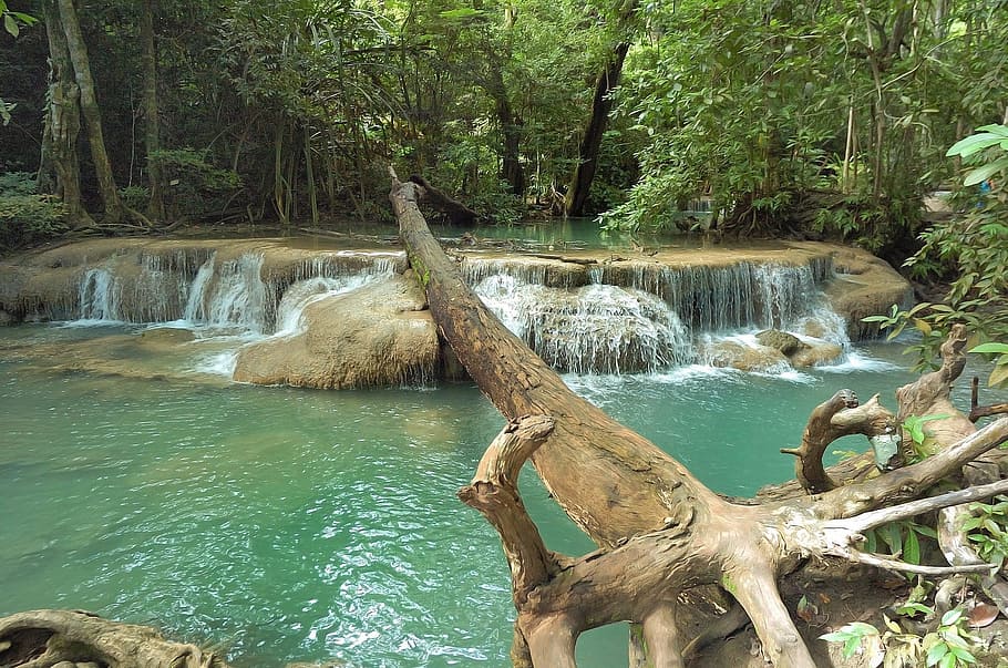 body of water, erawan, thailand, water, basin, swimming pool, green, tree, forest, kanchanaburi