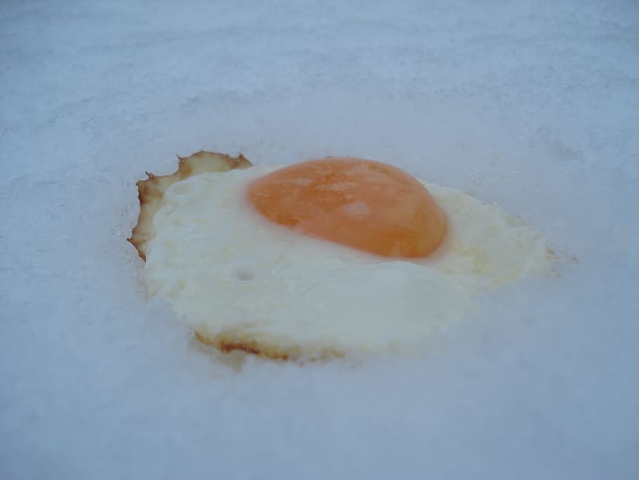 Fried, Snow, Cold, crazy, food and drink, close-up, food, day, nature, egg