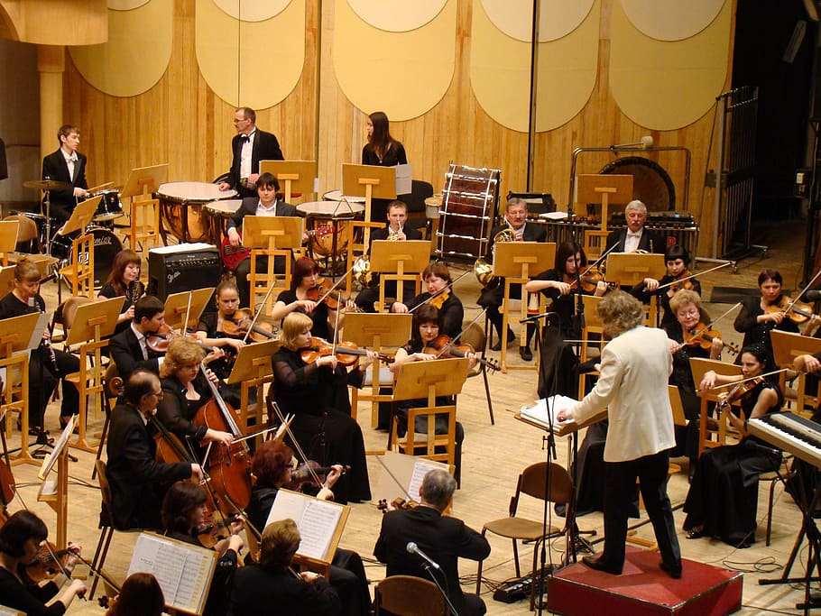 楽器を演奏する人々, 交響楽団, コンサート, フィルハーモニーホール, 音楽, 指揮者, バイオリン, チェロ, 管楽器, 人々