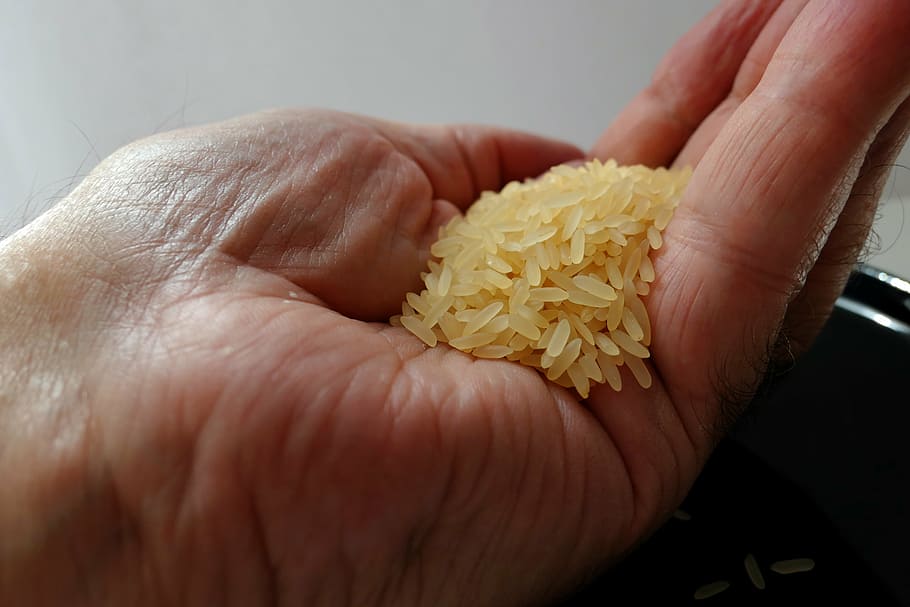 arroz, puñado de arroz, tazón de arroz, asia, comida, plato de arroz, comer, cáscara, mano humana, parte del cuerpo humano